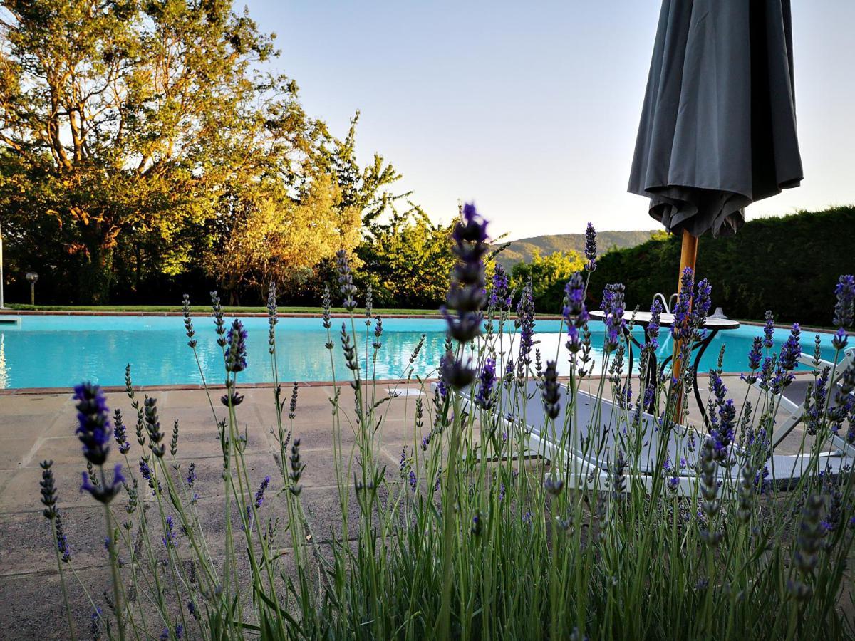 Agriturismo Grecinella Casole dʼElsa Exteriér fotografie