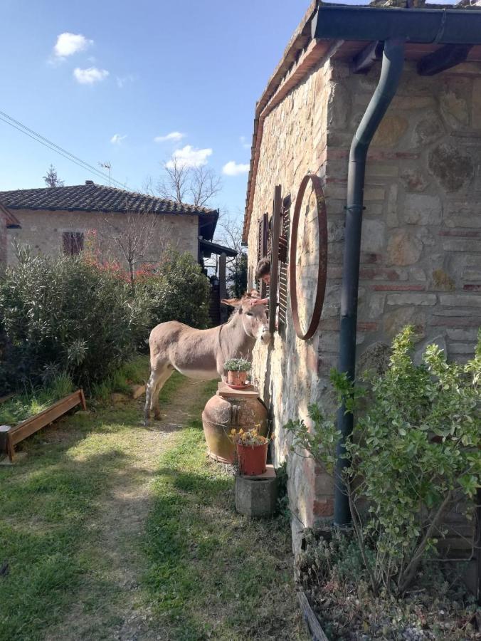 Agriturismo Grecinella Casole dʼElsa Exteriér fotografie
