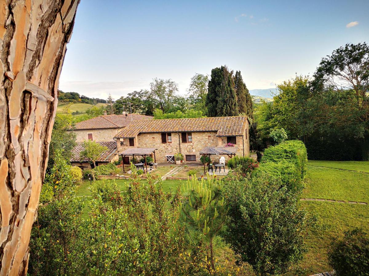 Agriturismo Grecinella Casole dʼElsa Exteriér fotografie