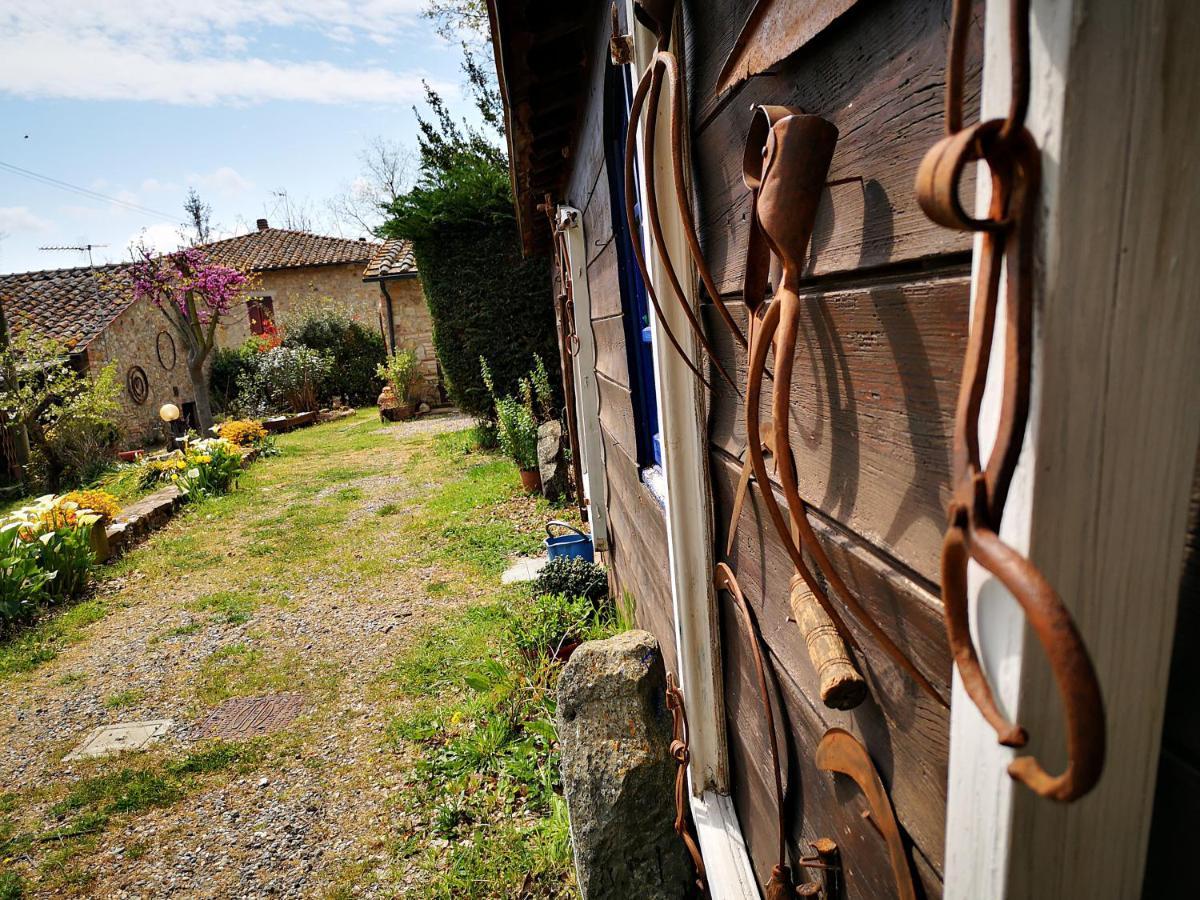 Agriturismo Grecinella Casole dʼElsa Exteriér fotografie
